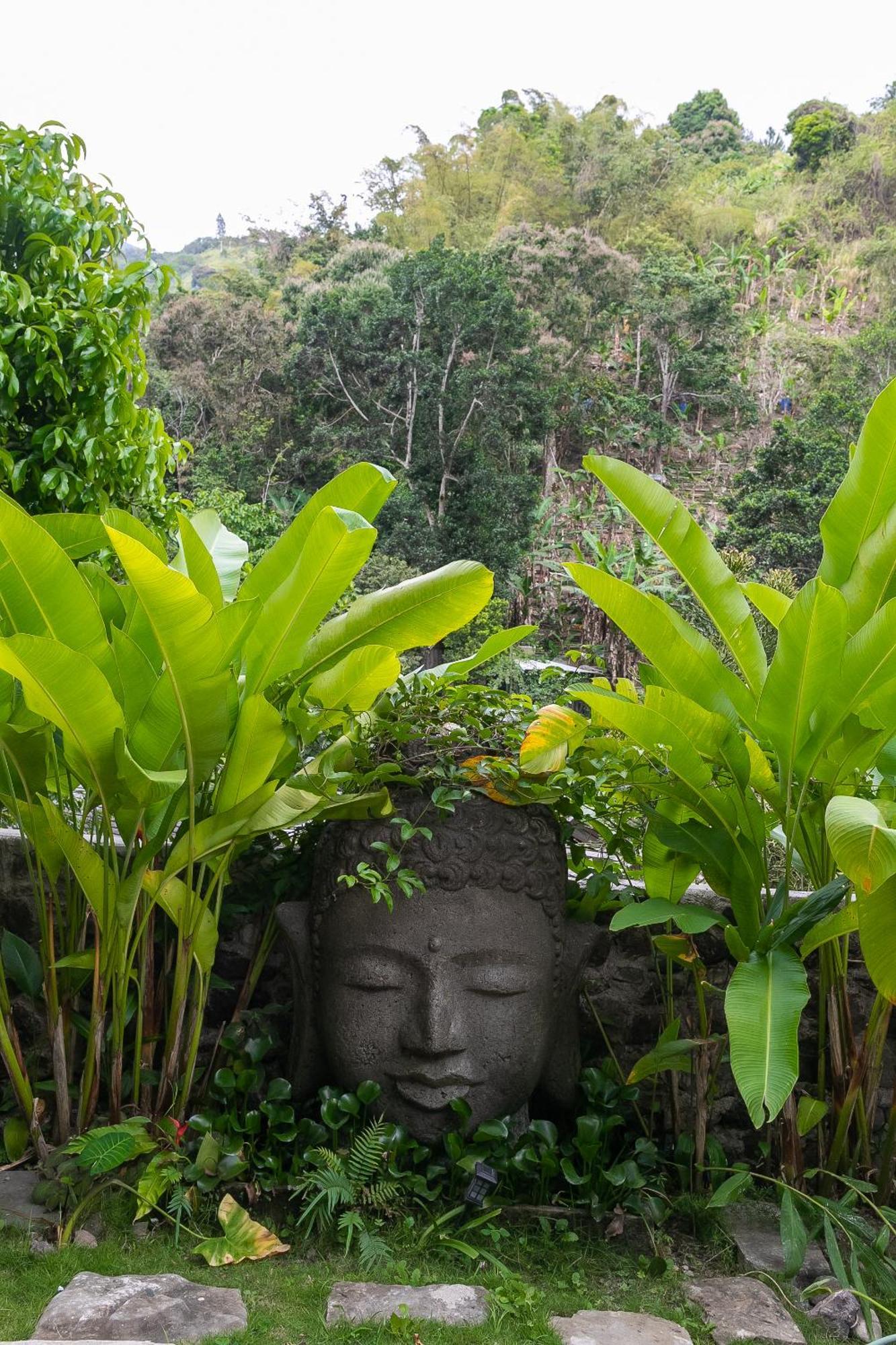 Serendipity Holistic Resort Spa キングストン エクステリア 写真